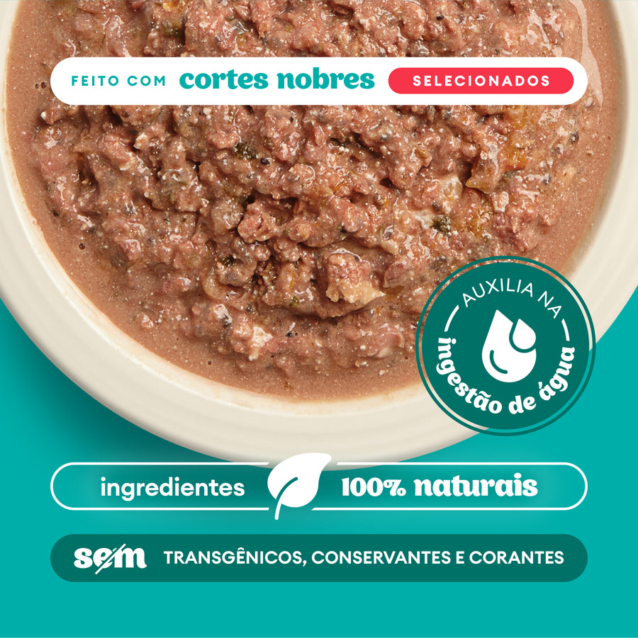 Caixa Sachê Natural Pet Delícia Ragu de Carne com Legumes para Cães