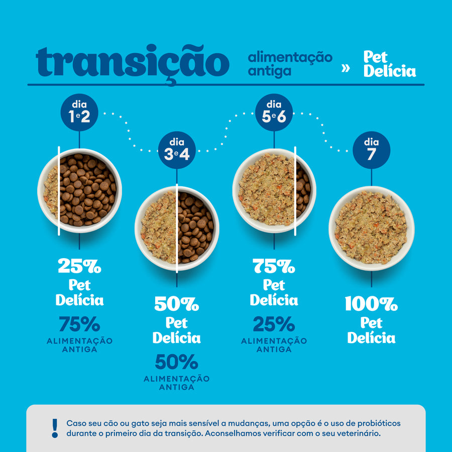 Alimentação Natural Sênior Gato