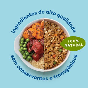 Alimentação Natural Sênior Gato